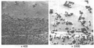 Fig. 3 SEM image at the bond of two materials